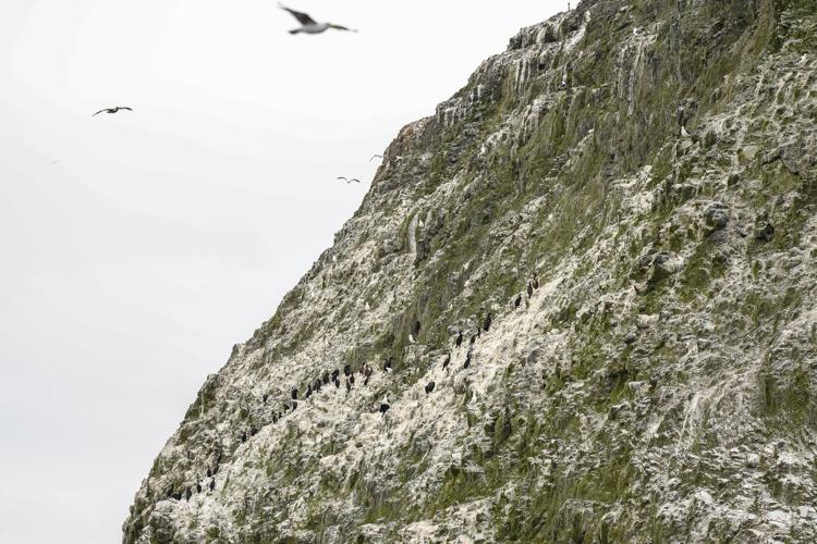 As Trump pares back ocean protections, California weighs expanding them