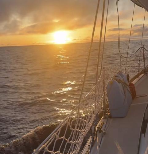 Sailing from Oregon to Hawaii after quitting his job turns a man with a cat into social media star