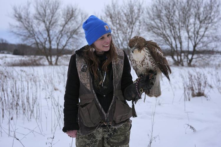 Midwest winters are changing. So is the ancient sport of falconry