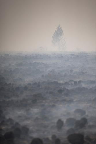 Belgian wildfire approaches Germany despite rain as Greece probes deadly blaze
