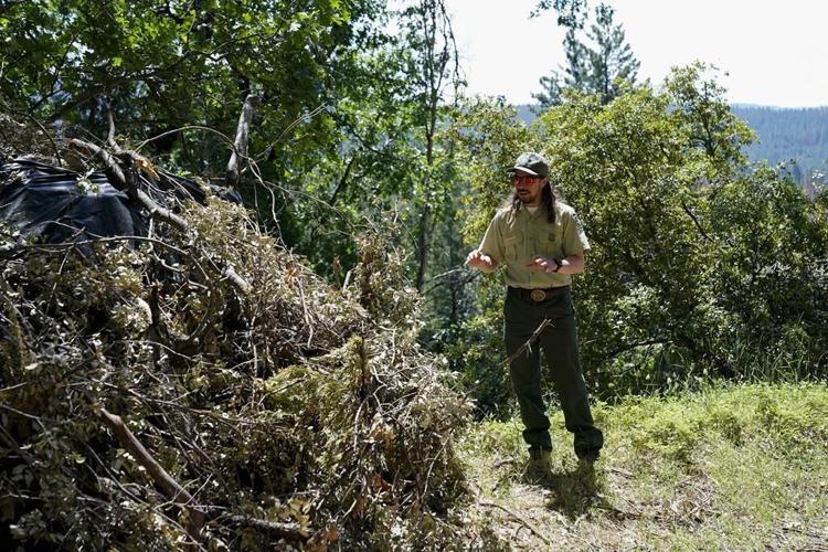 US push to lower wildfire risk across the West stumbles in places