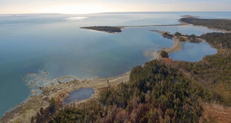 Opponents in rural Nova Scotia challenge cabinet decision on whale sanctuary project