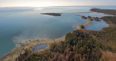 Nova Scotia's Whale Sanctuary Project to break ground but Crown lease still unsigned
