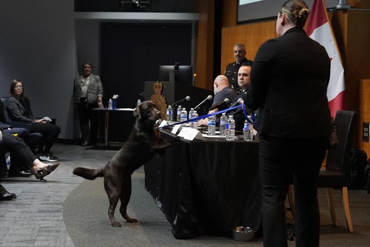 More than 100 arrested in countrywide child exploitation operation, police say