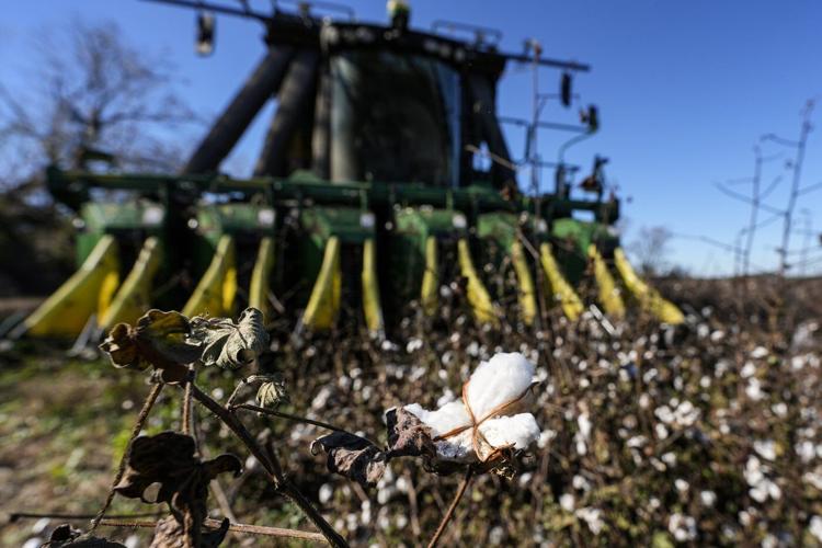 Federal officials set timeline for Helene aid to farmers as Georgia enacts tax breaks