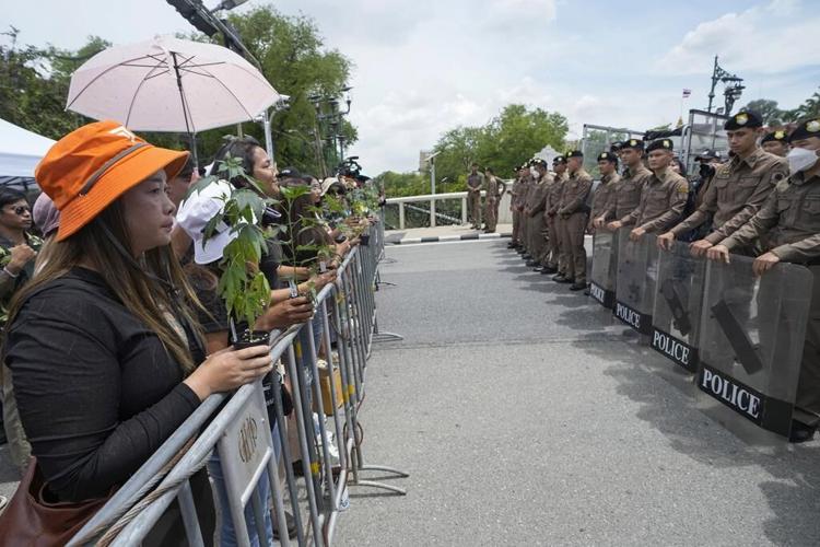 Cannabis advocates in Thailand protest a proposal to ban its general use once again