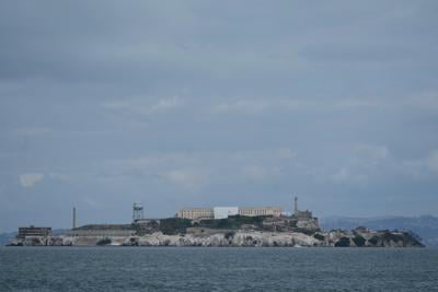 Male coyote swam 2 miles to Alcatraz Island, twice as far as biologists had expected