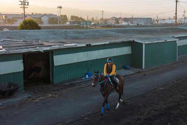 Golden Gate Fields could soon turn into a public park
