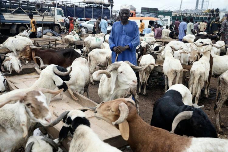 Muslims look forward to the annual Eid feast. Many Africans are now struggling to afford it