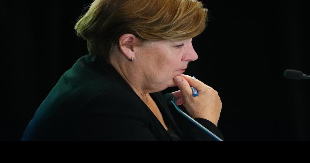 Public inquiry grapples with definition of foreign interference in its