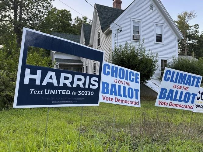 Harris looks to lock up Democratic nomination after Biden steps aside, reordering 2024 race