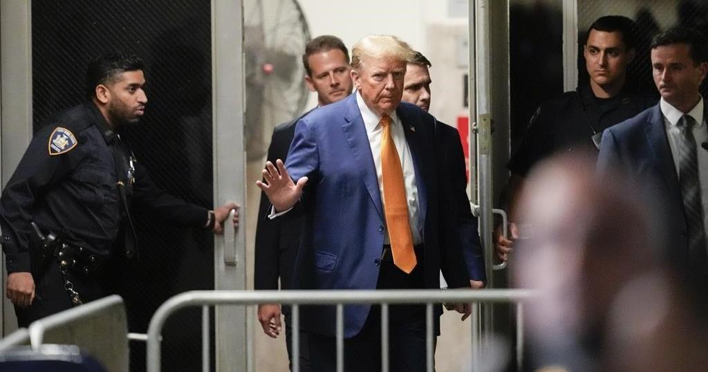 Here is what Stormy Daniels testified happened between her and Donald ...