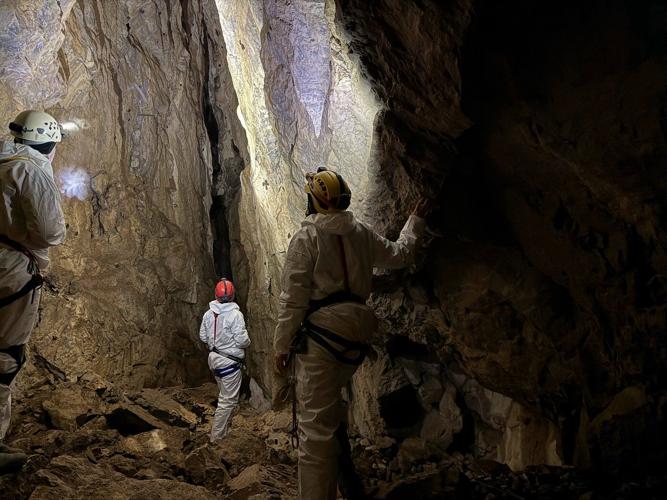 Parks Canada working to curb spread of deadly white-nose syndrome in Alberta bats