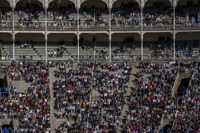 Young people drive bullfighting's resurrection in Spain