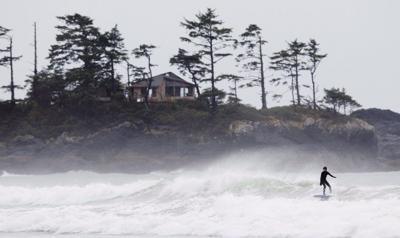 Six-foot boa constrictor goes missing from beach in Tofino, B.C.