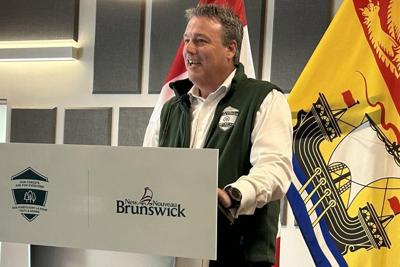 N.B. minister quits cabinet, another says he won't run in next provincial election
