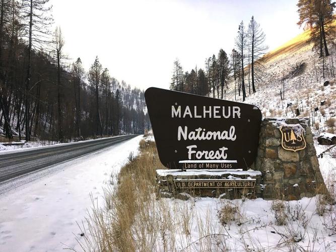 'Burn boss' arrest inflames Western land use tensions