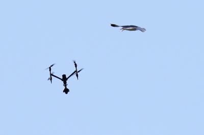 Drones and contraband pose everyday challenges in Quebec detention centres
