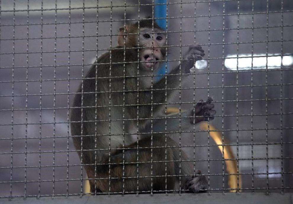 Image from article