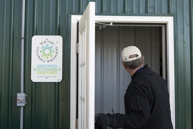 Vineyards in NY wine country push sustainability as they adapt to climate change