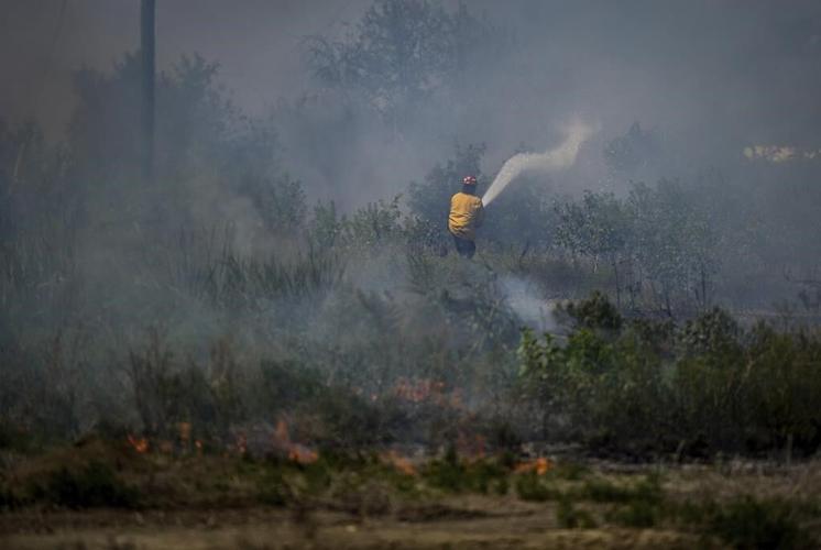Wildfire triggers evacuation order for Tumbler Ridge, B.C.