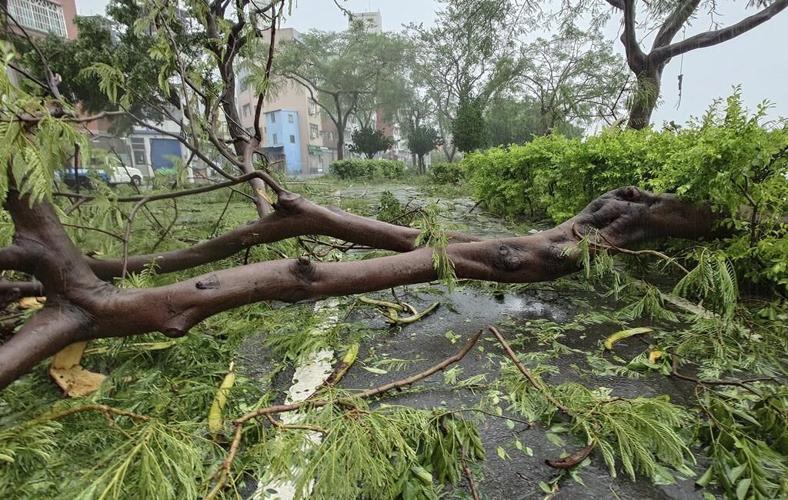 Typhoon Krathon makes landfall in Taiwan, packing fierce winds and torrential rain