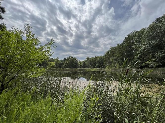Founding father Gen. Anthony Wayne's legacy is getting a second look at Ohio's Wayne National Forest