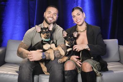 How 'MILF Manor' somehow led to CBC's wholesome new rescue show 'Must Love Dogs'