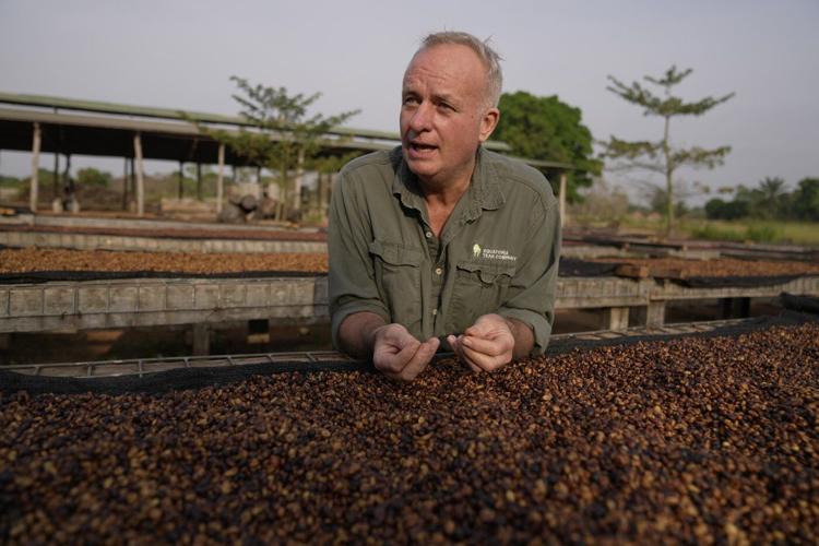 As warming climate hammers coffee crops, South Sudan tests a tougher species