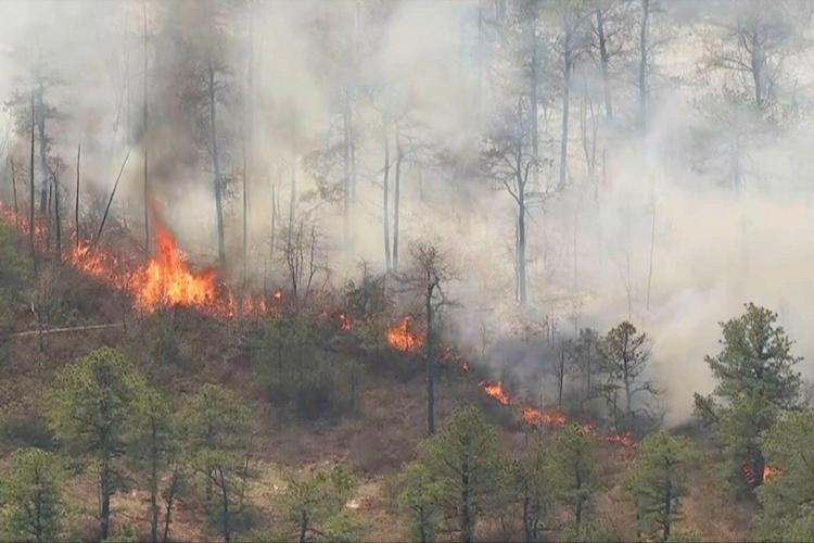 Man charged with arson after authorities say he sparked New Jersey Pine Barrens blaze
