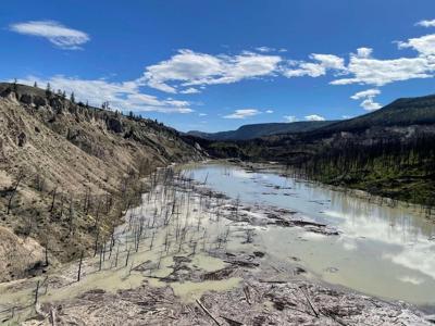 Massive B.C. landslide could mean new barriers for struggling salmon
