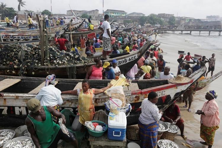 Corruption endangers world's shrinking fisheries