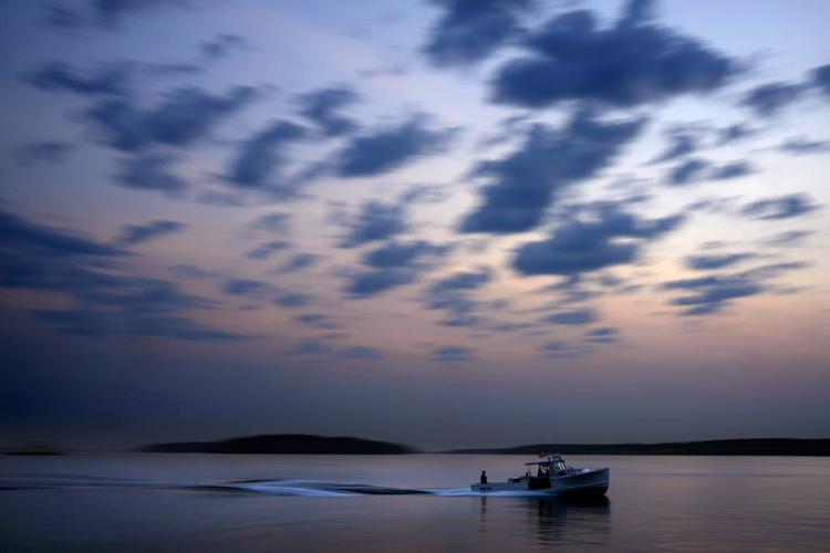 Nations ratify the world's first treaty to protect international waters