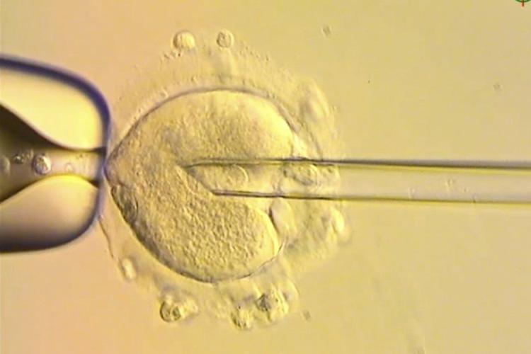 Healthy babies born in Britain after scientists used DNA from three people to avoid genetic disease