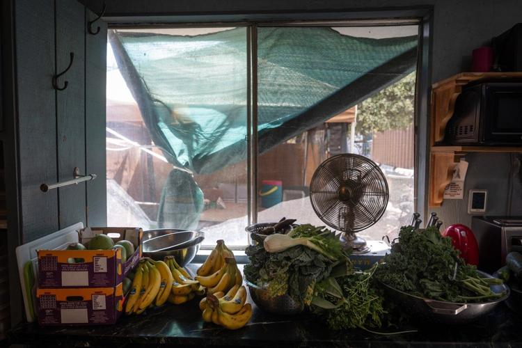 A haven for endangered gibbons, in photos