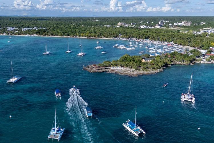 As reefs vanish, assisted coral fertilization offers hope in the Dominican Republic