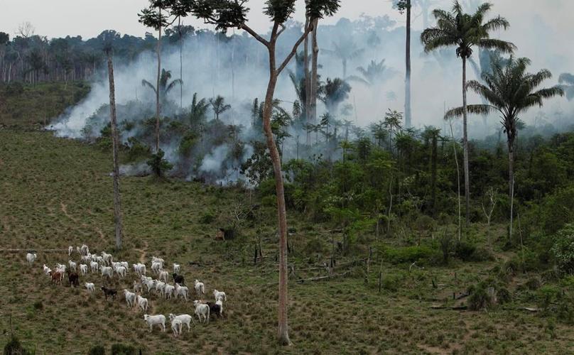Takeaways from AP's reporting on an American beef trader's links to Amazon deforestation