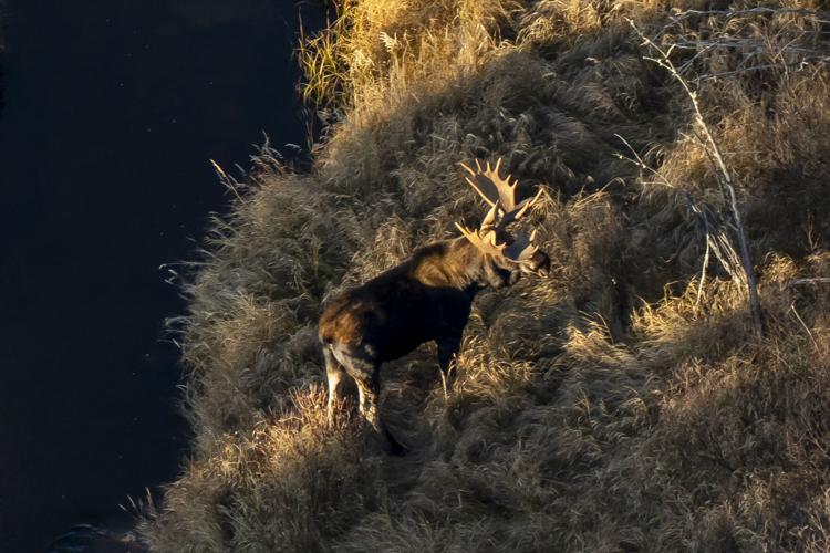 Ont-Ring-of-Fire 20251210