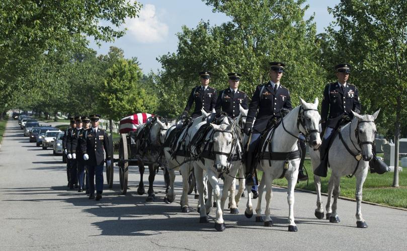 Army will end most of its ceremonial horse programs and adopt out the animals