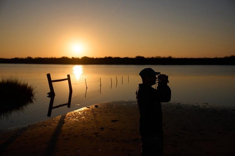 Along the Texas Coast, a new sanctuary aims to protect the endangered and rare whooping crane