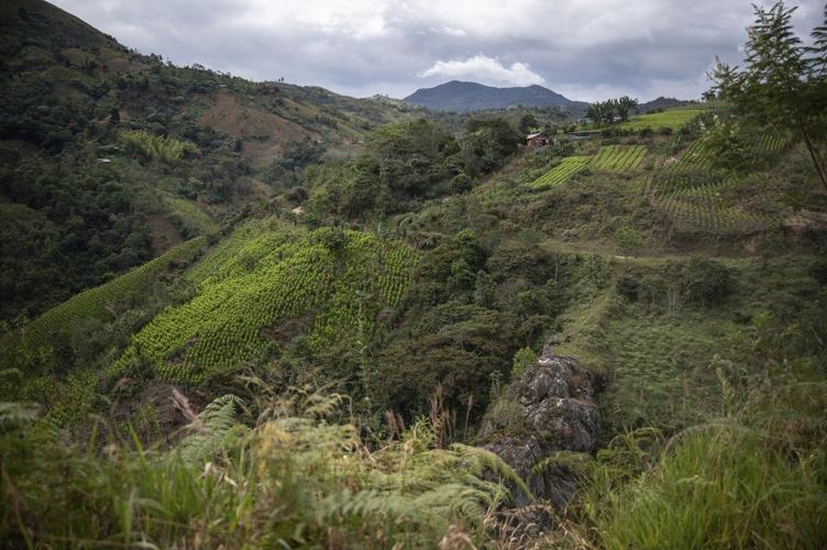 Takeaways from AP's reporting on armed groups recruiting children in Colombia
