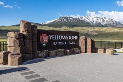 Bear attack injures two hikers in Yellowstone ��ɫtv Park