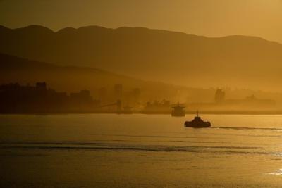 B.C. puts fish protection orders in place as heat, drought persists
