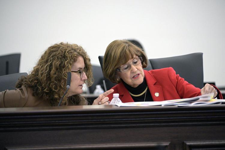 Bill seeks trails and cabins, not pickleball courts and hotels, for Florida state parks