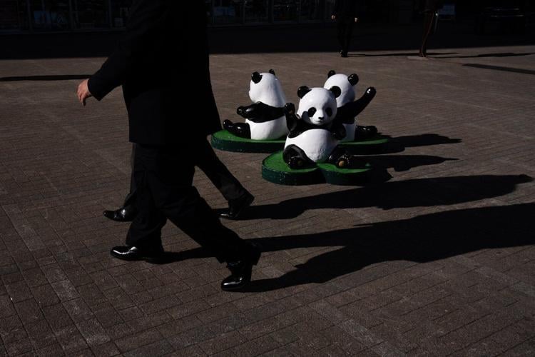 The last 2 pandas in Japan are leaving for China as ties are strained