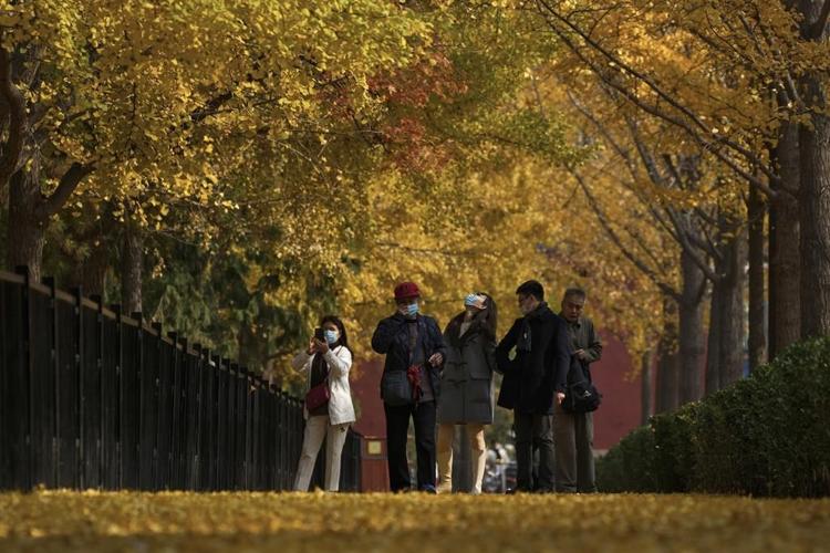 China promises change but sticks to severe 'zero COVID' plan