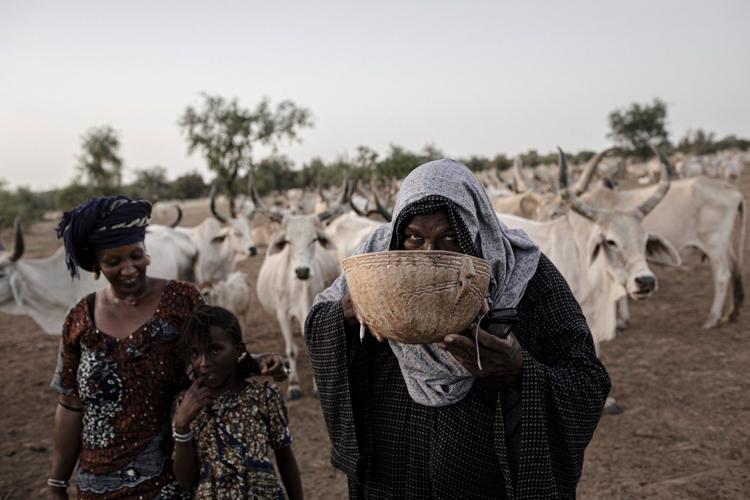 In Senegal, climate change is adding to historic tension between farmers and herders
