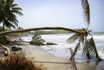 ɫֱs in Grenada and Montreal rally to help after hurricane Beryl devastation