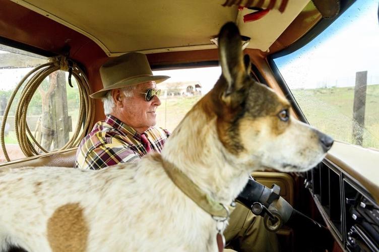 Five years after California's deadliest wildfire, survivors forge different paths toward recovery