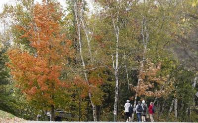 Canada's dramatic summer weather has altered the fall colours this year: researchers